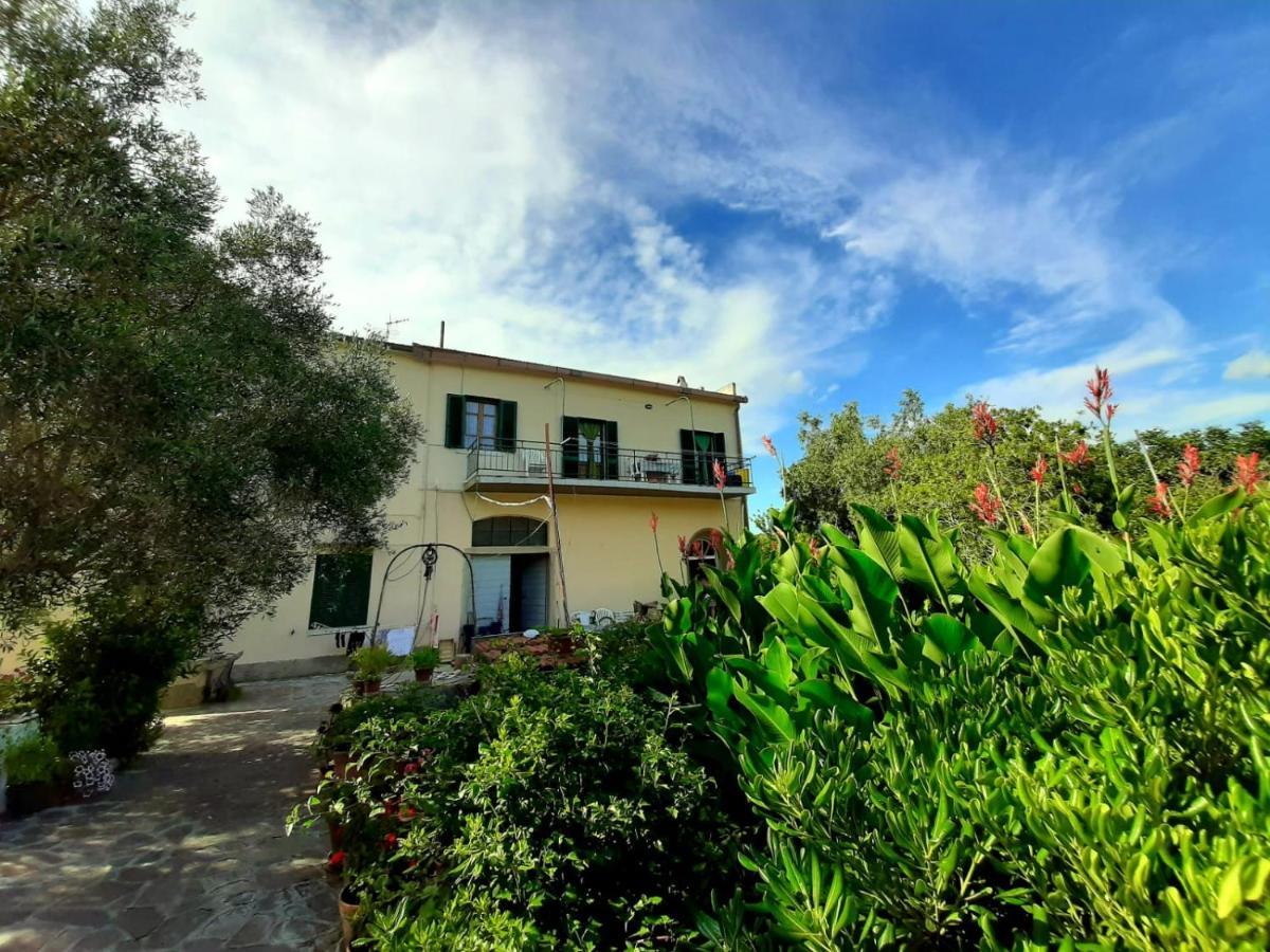 Villa Very II Marina di Campo Værelse billede